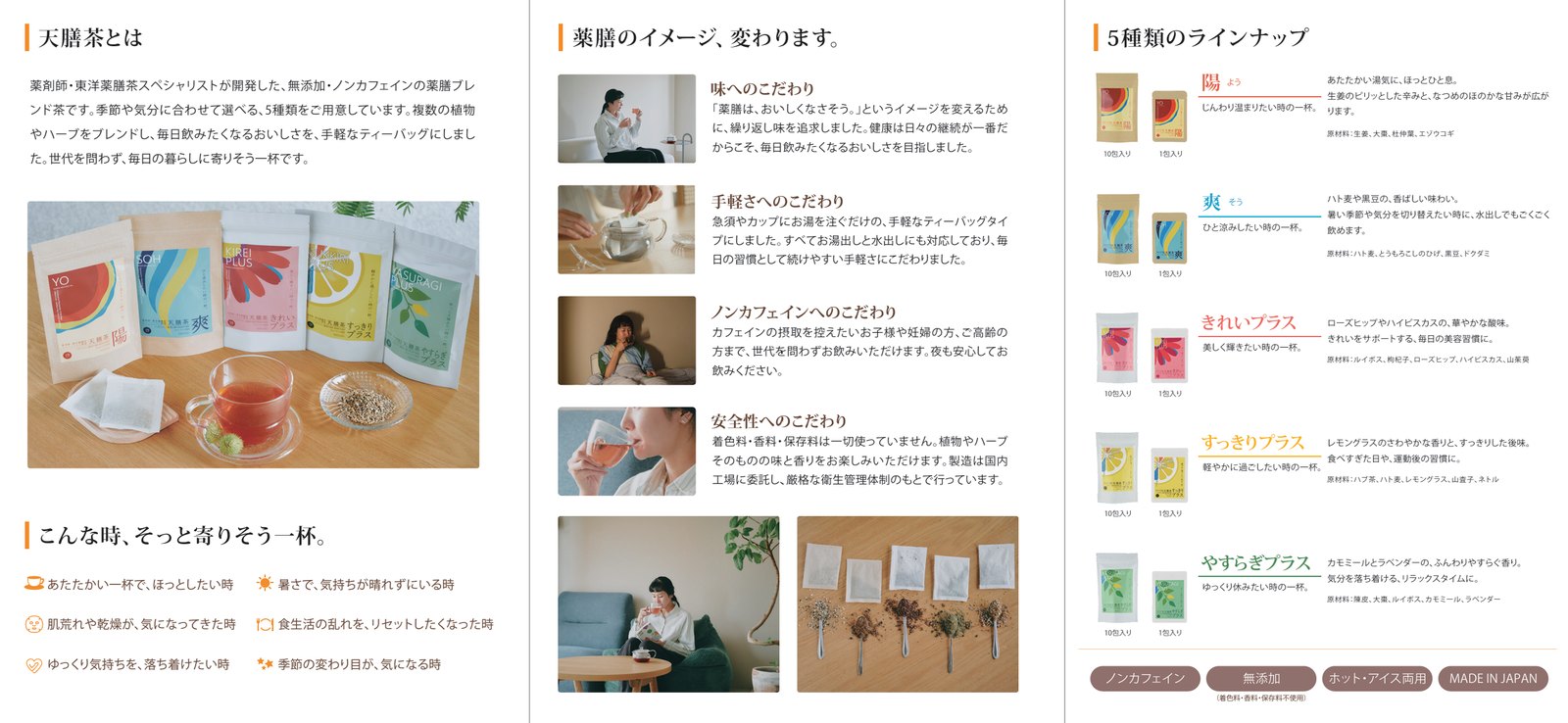 天膳茶 商品リーフレット 内側