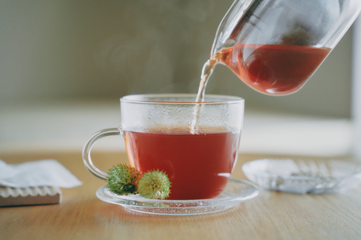 お湯出しでいれた天膳茶